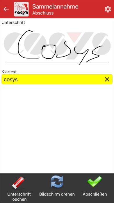 COSYS Postverteilung Screenshot