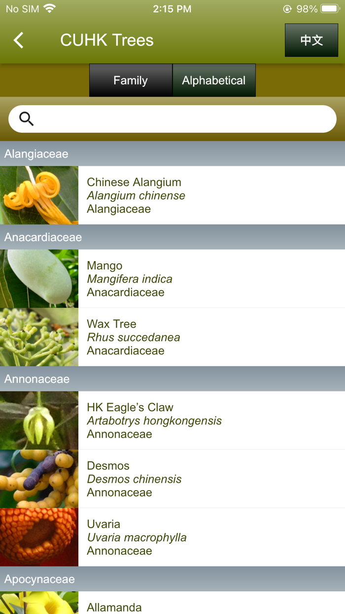 中大樹  Trees of CUHK