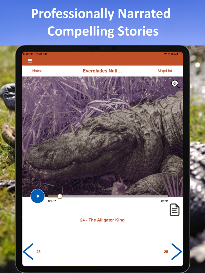 Everglades National Park Tour