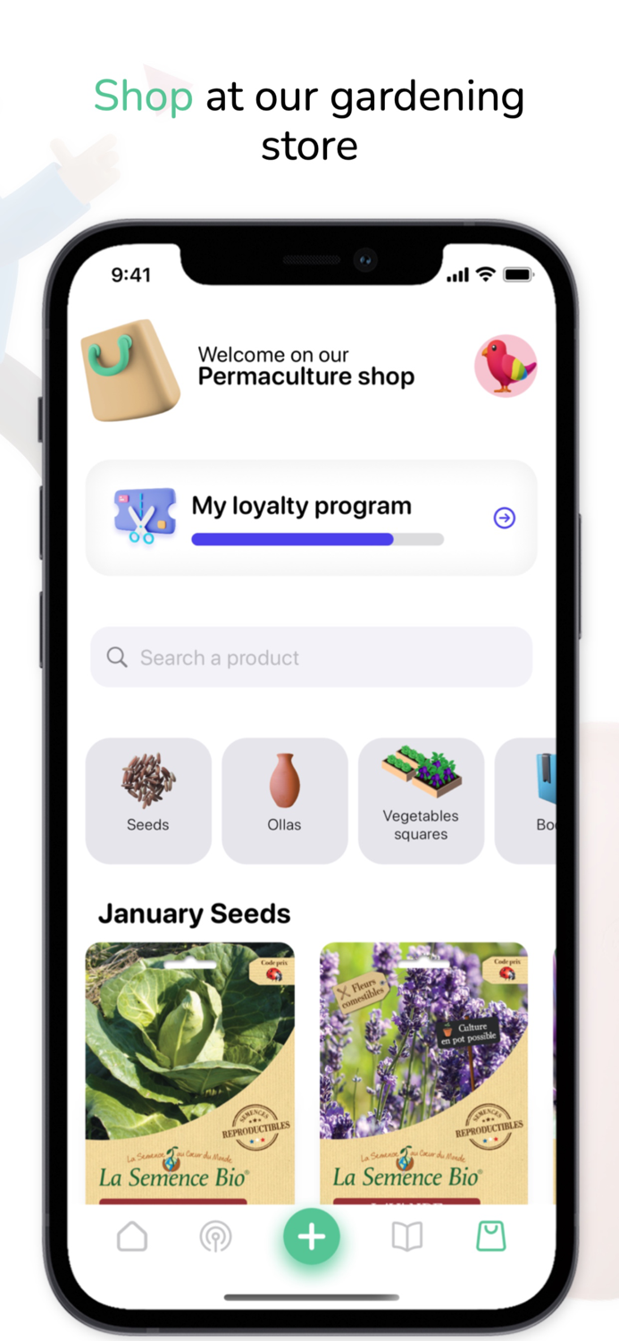 Tomate and Basilic- Permaculture