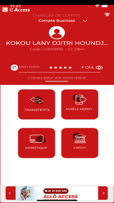 e-Access Screenshot