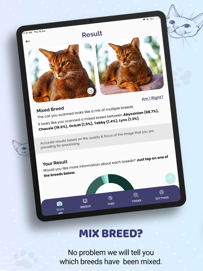 Cat Identifier AI Cat Scanner