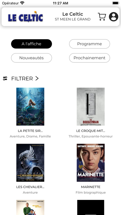 Saint Meen Le Grand Le Celtic Screenshot