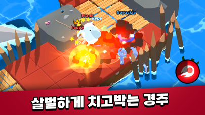 Crazy Animal Race Screenshot
