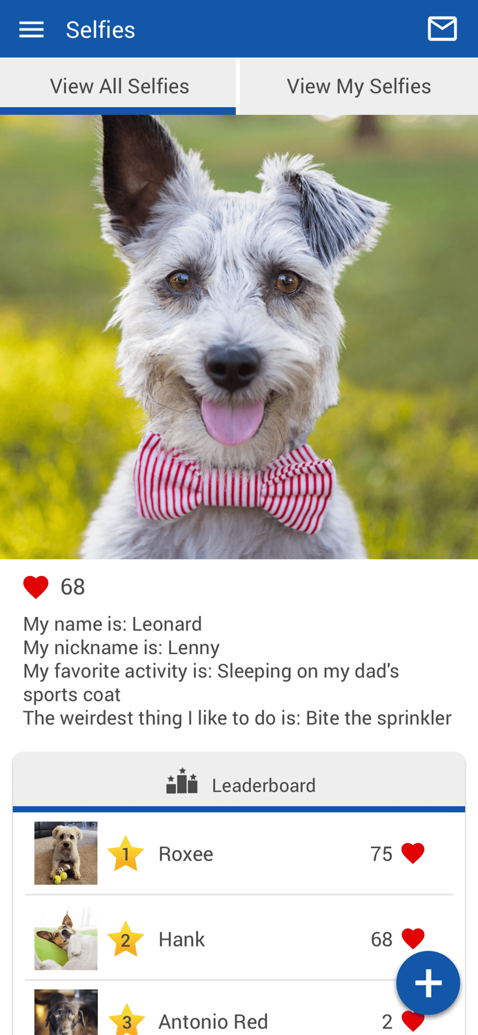 Lakeside Animal Hospital NC