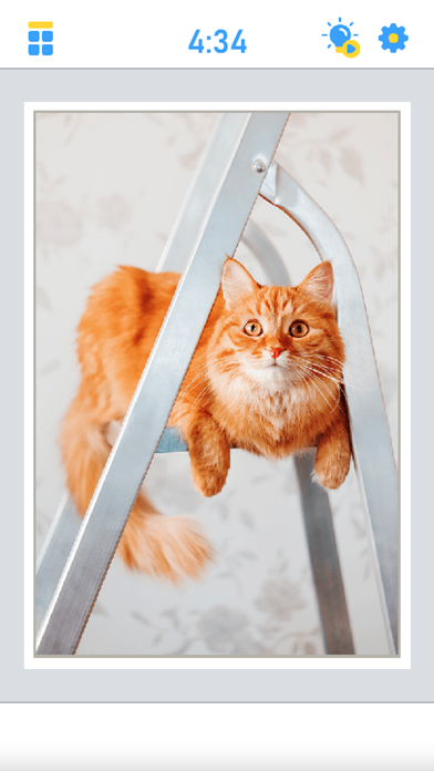 Antistress Jigsaw Puzzle Screenshot