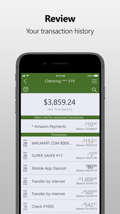 FNB Taylorville Mobile Screenshot