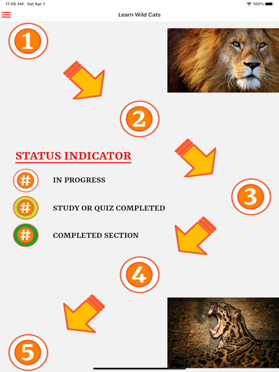 Screenshot #4 pour Learn Wild Cats