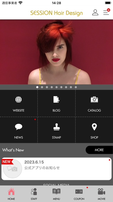 SESSION SASSOON SALON SHIP Screenshot