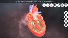 heart - an incredible pump iphone screenshot 3