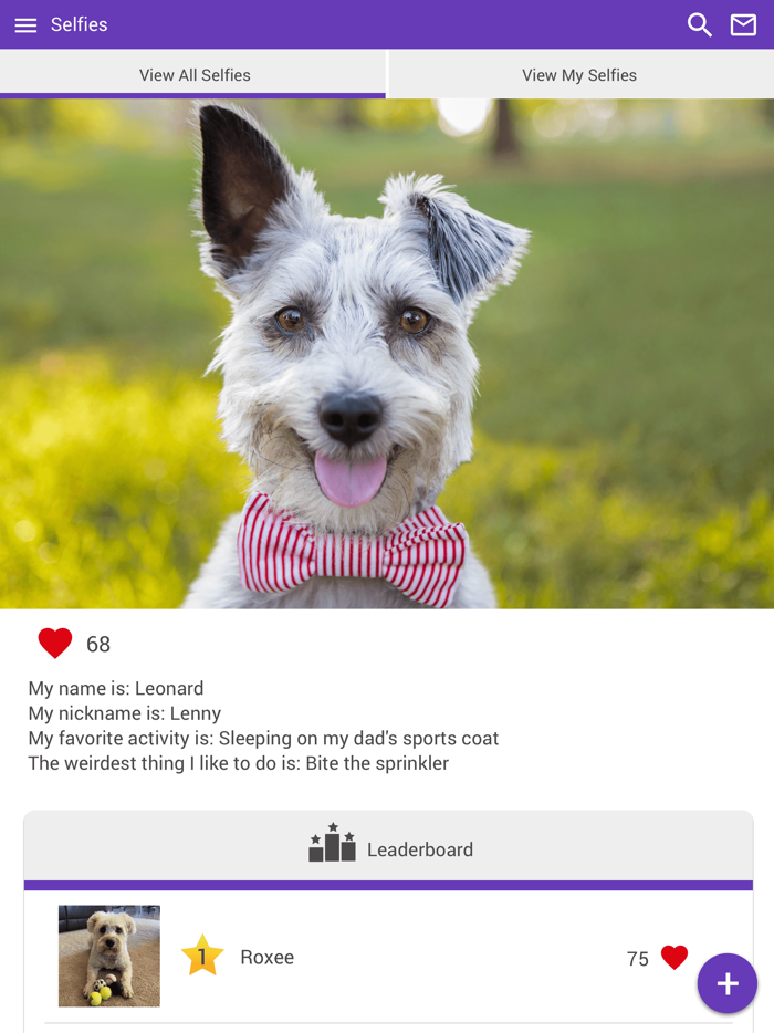 Wisdom Animal Hospital