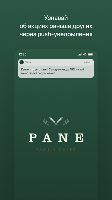 PANE Screenshot