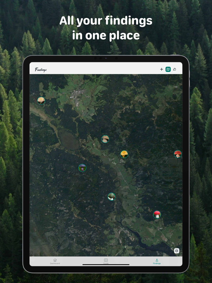 Rostou - Mushroom Guide