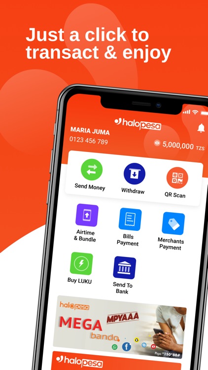 HaloPesa