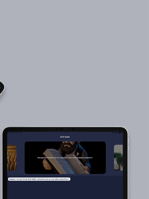 SOS Rabbi iPad screenshot 3 - Reference app