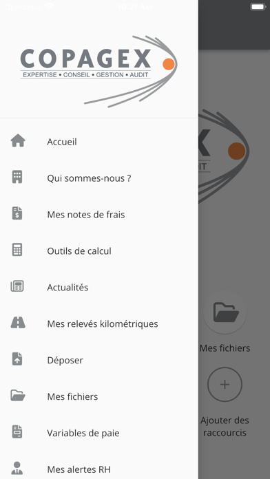 COPAGEX Screenshot