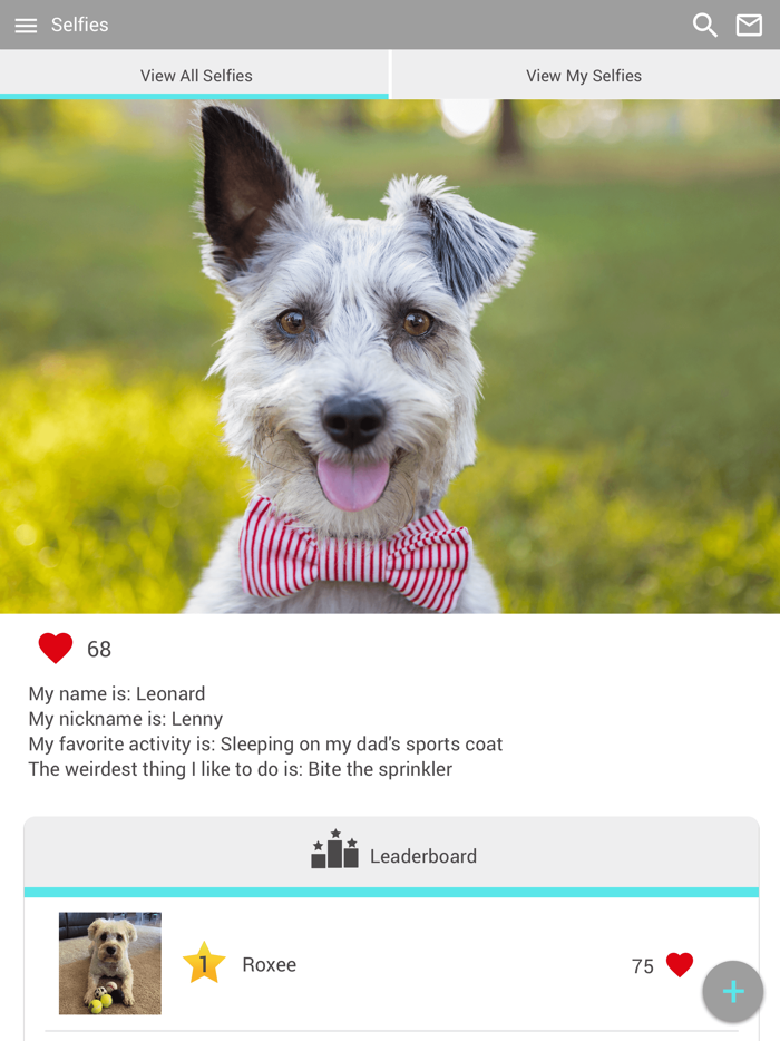 Westown Veterinary Clinic