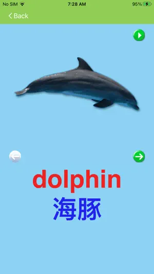 Chinese Flashcards Lite screenshot 4