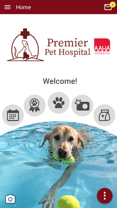Premier Pet Hospital Screenshot