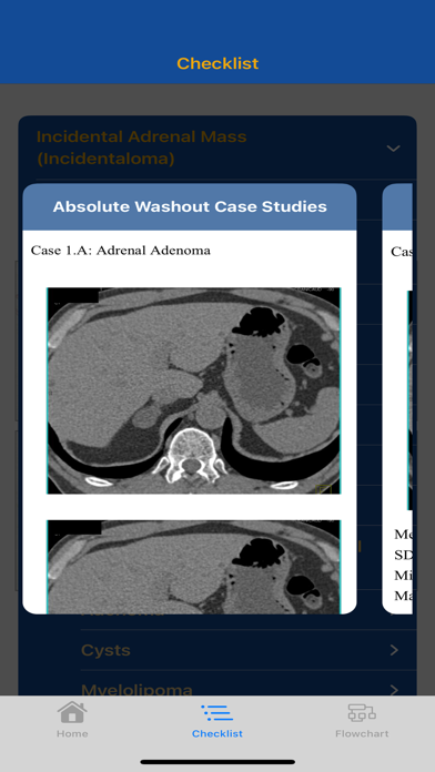CTisus Adrenal Mass Checklist Screenshot