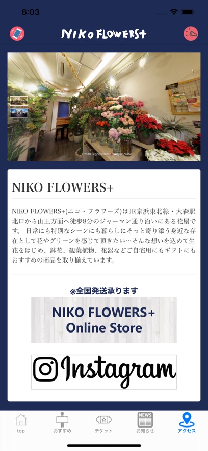 NIKO FLOWERS