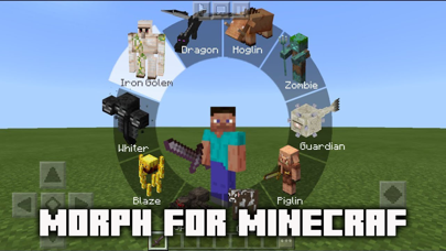 MCPE ADDONS - Morph Mods Screenshot