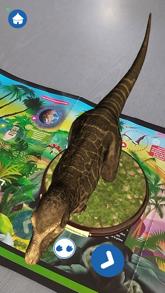 History of Life on Earth