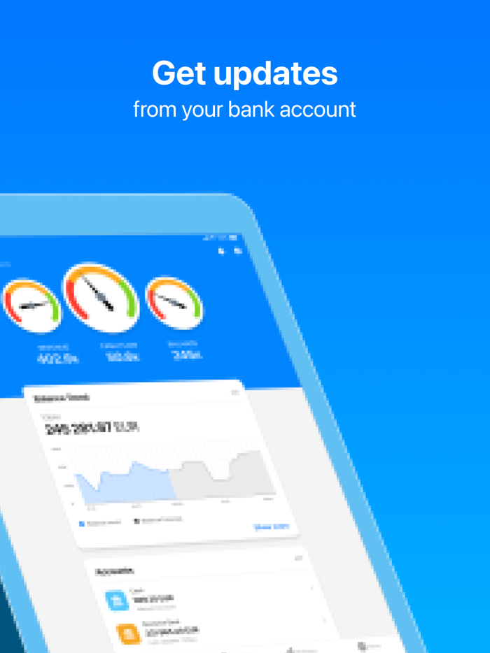 Board Business Budget Tracker