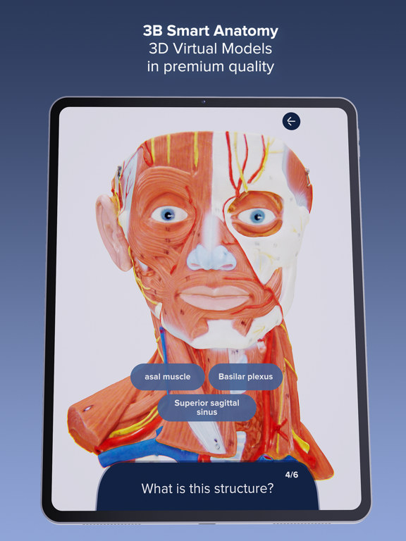 Screenshot #5 pour 3B Smart Anatomy