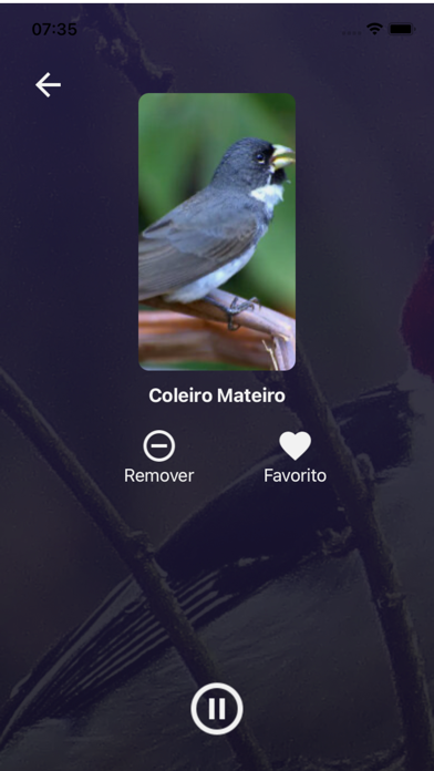Cantos de Pássaros Brasileiros Screenshot