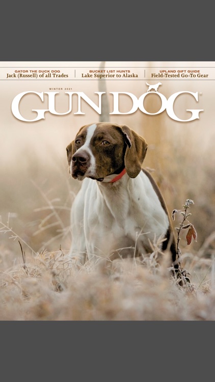 Gun Dog Magazine