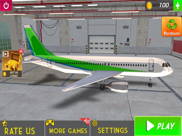 Airplane Flight Simulator Fun