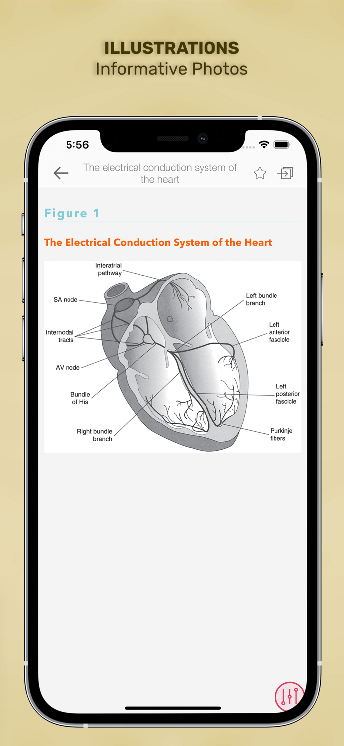 Diseases and Disorders Nursing