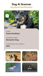 dog ai scanner and identifier iphone screenshot 4