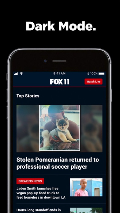 FOX 11 Los Angeles: News Screenshot