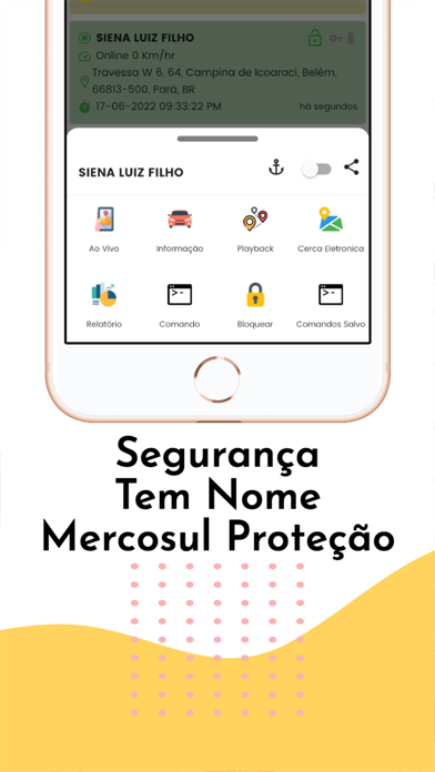 Mercosul Proteção Screenshot