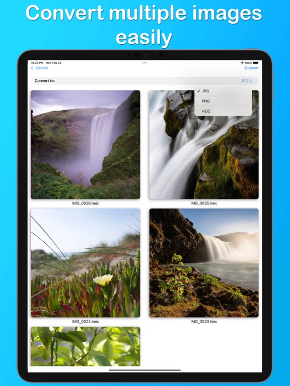 Image Converter: HEIC-JPG-PNG screenshot 2