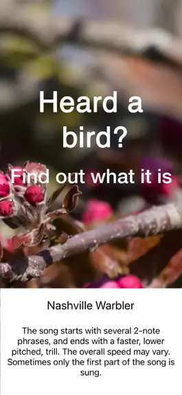 Game screenshot ChirpOMatic - BirdSong USA apk