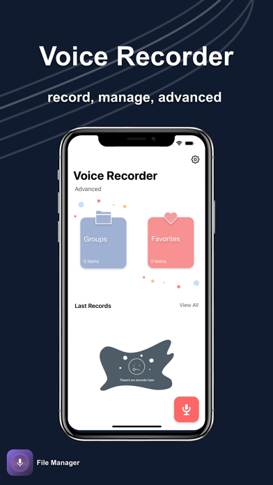 Voice Recorder - PRO Screenshot