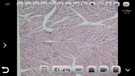 Game screenshot Prime WiFi EDU hack