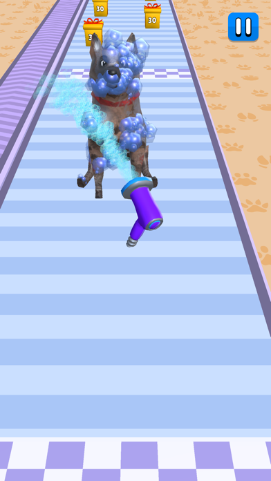 Pet Care Runner Screenshot