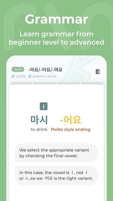 Mirinae - Learn Korean with AI Screenshot