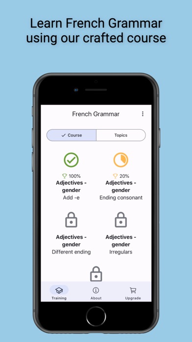 French Grammar Master Screenshot