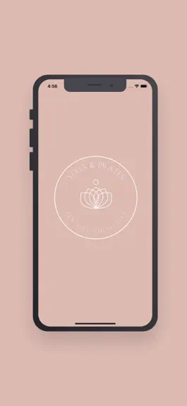 Game screenshot Zen Soul mod apk