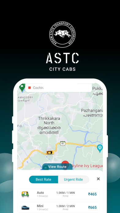 ASTC City Cabs Screenshot