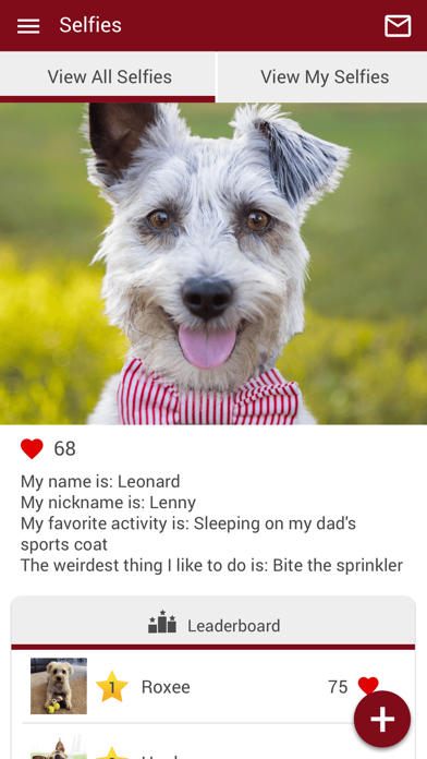 CCAH Pets Screenshot