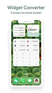 currency converter & widget iphone screenshot 2
