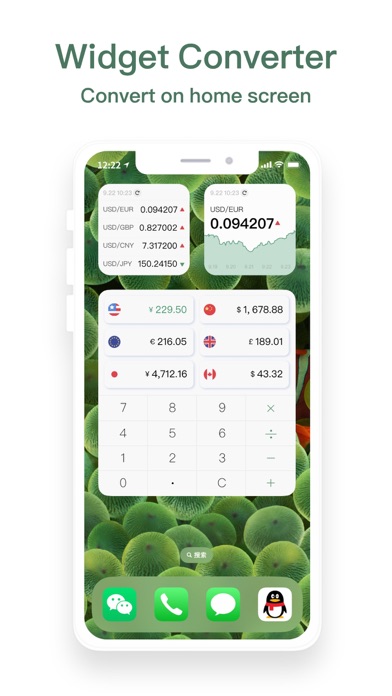 Currency Converter & Widget Screenshot