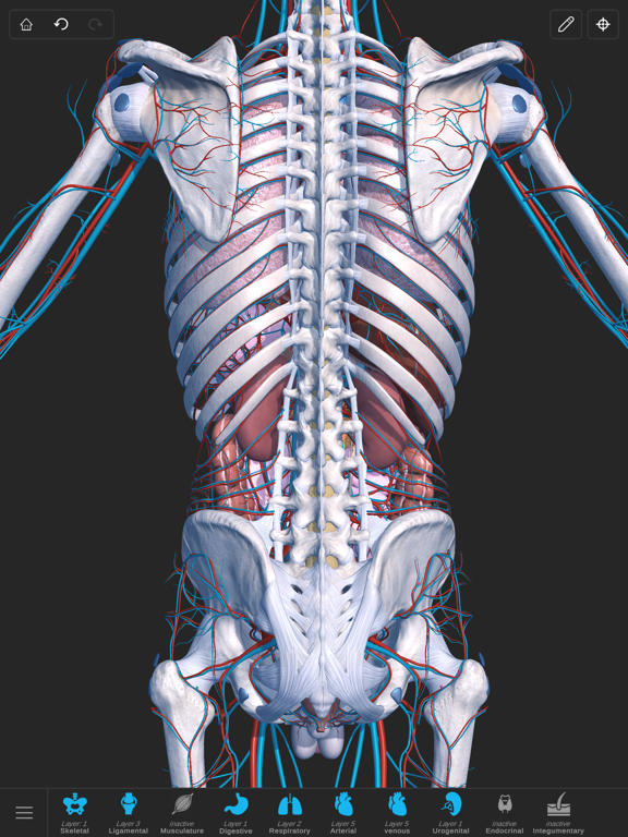 Visual Anatomy 3D - Humanのおすすめ画像4