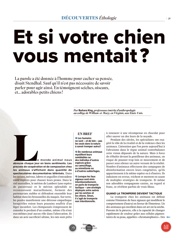 Screenshot #6 pour Cerveau & Psycho